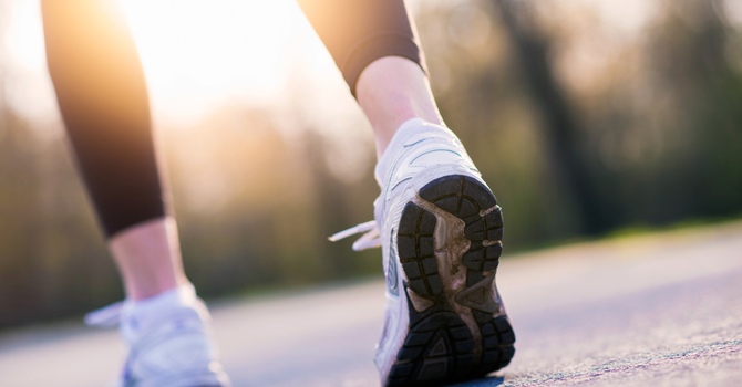 Wellness Membership